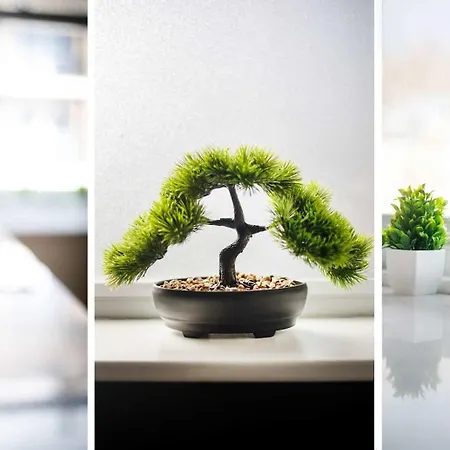 Fishergate Bar Sleeps 4